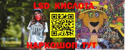крисы Севастополь