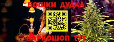 крисы Севастополь