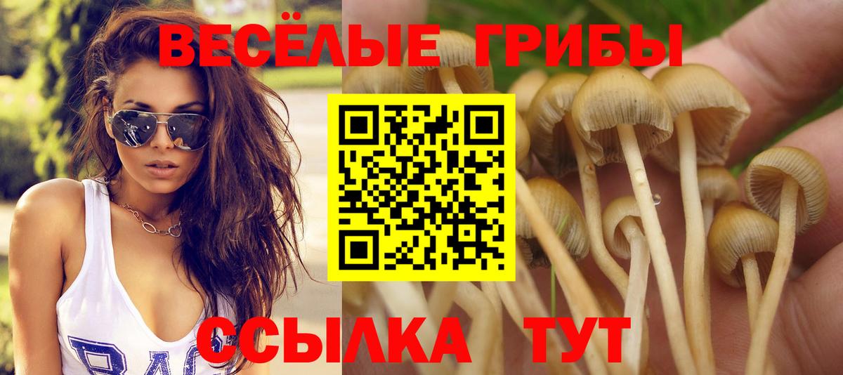Нижневартовск  Псилоцибиновые грибы мухоморы  Вход с VPN 